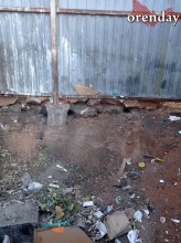 В Оренбурге на мусорной площадке поселились полчища крыс