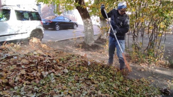На улицах Оренбурга продолжают наводить чистоту На улицах Оренбурга продолжают наводить чистоту