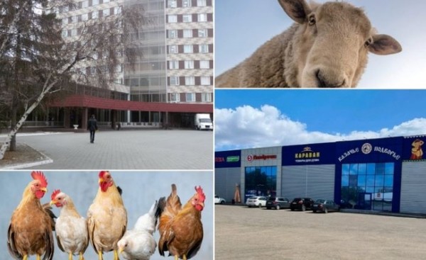 Минсельхоз Оренбуржья через суд пытается вернуть 8 фермерских грантов