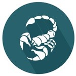 Овнам полезно заняться трудовой деятельностью, а Рыбы поймали свою энергетическую волну