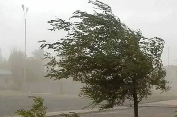 На Оренбургскую область надвигается сильный ветер