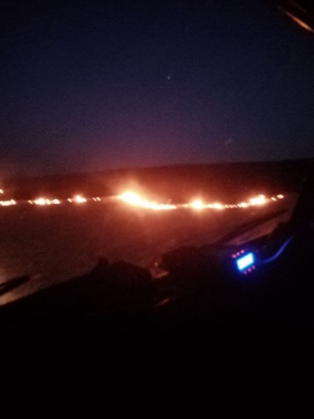 В Переволоцком районе второй день тушат природный пожар