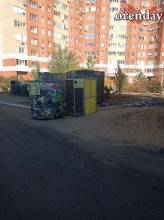 В Оренбурге на мусорной площадке поселились полчища крыс