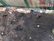 В Оренбурге на мусорной площадке поселились полчища крыс