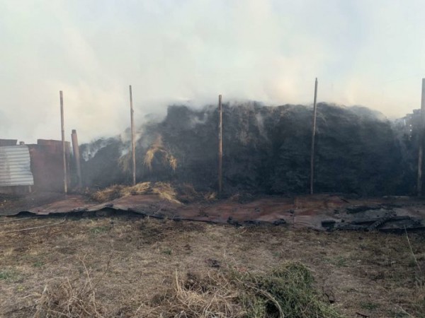 В поселке Нижнесакмарский пожарные не пустили огонь на жилые постройки