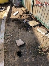 В Оренбурге на мусорной площадке поселились полчища крыс