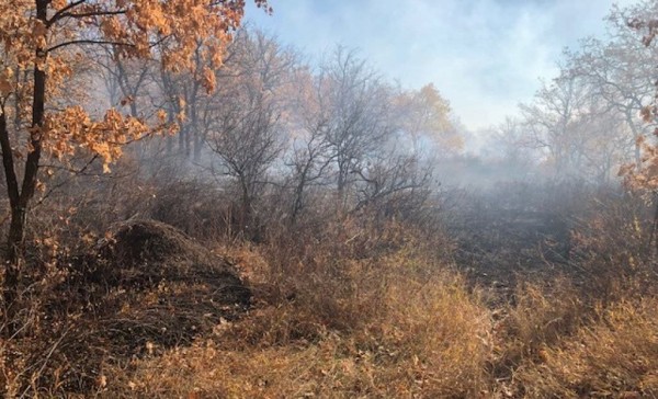 За сутки в Оренбуржье произошло 17 природных пожаров