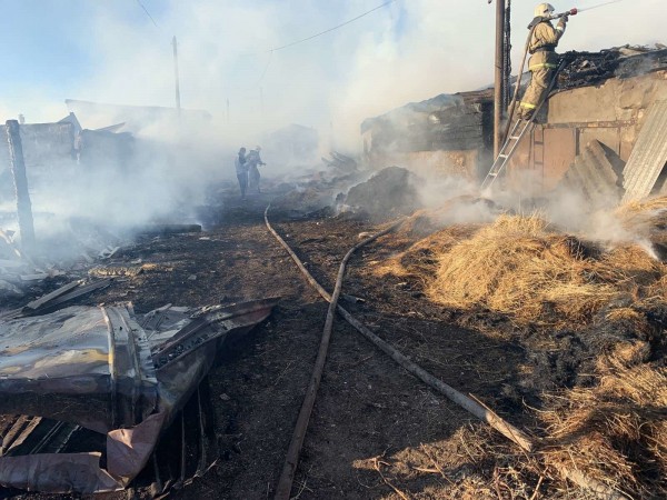 В поселке Нижнесакмарский пожарные не пустили огонь на жилые постройки