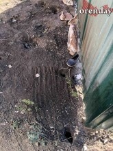 В Оренбурге на мусорной площадке поселились полчища крыс