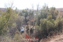 Аномалии оренбургской Сары: миф или реальность