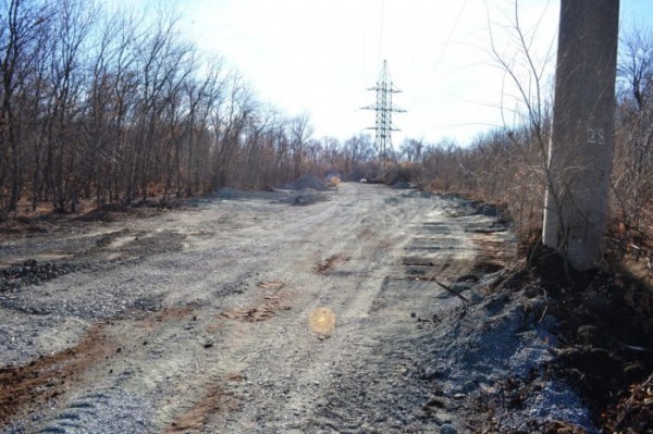Кирилл Шкилев: Почему проект реконструкции лесополосы на Березке провалился? История вопроса