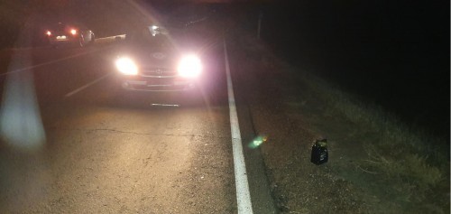 В Переволоцком районе водитель "Хендай" с наклейкой "ДОСААФ России" сбил женщину