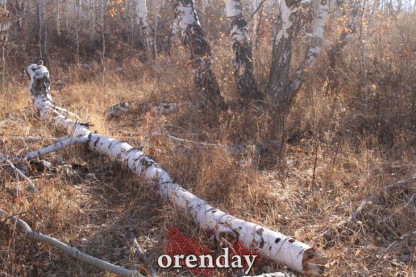 Аномалии оренбургской Сары: миф или реальность