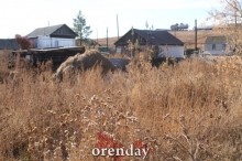 Аномалии оренбургской Сары: миф или реальность