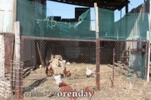 Аномалии оренбургской Сары: миф или реальность