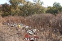 Аномалии оренбургской Сары: миф или реальность