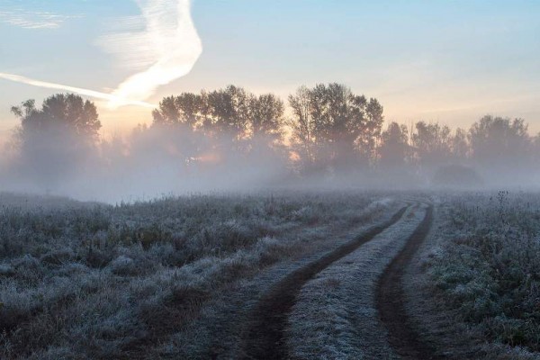 В Оренбуржье выпадет мокрый снег