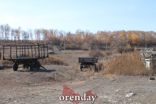 Аномалии оренбургской Сары: миф или реальность