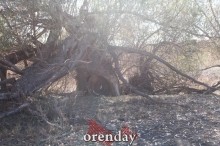 Аномалии оренбургской Сары: миф или реальность