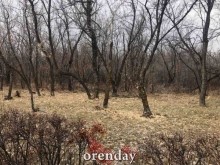 Как в Оренбурге зашло в тупик благоустройство мемориала репрессированным