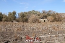 Аномалии оренбургской Сары: миф или реальность