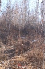 Аномалии оренбургской Сары: миф или реальность