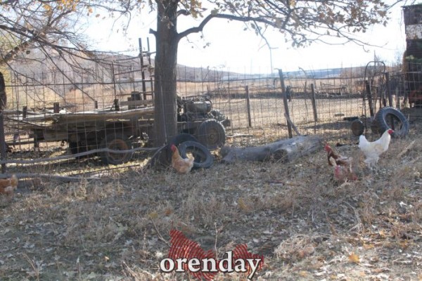 Аномалии оренбургской Сары: миф или реальность