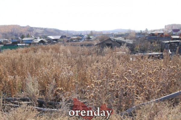 Аномалии оренбургской Сары: миф или реальность