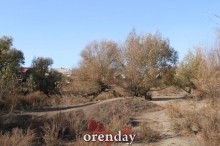 Аномалии оренбургской Сары: миф или реальность