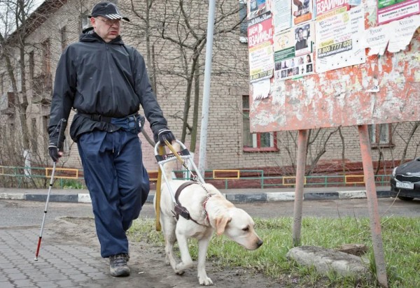 13 ноября отмечается Международный день слепых 13 ноября отмечается Международный день слепых