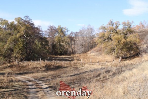 Аномалии оренбургской Сары: миф или реальность