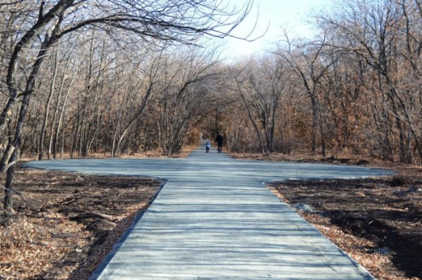 Денис Паслер прокомментировал срыв контракта по парку &laquo;Березка&raquo;