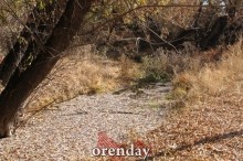 Аномалии оренбургской Сары: миф или реальность