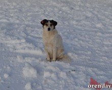 Переселение? Нет, не слышали. Жители «гагаринской летки» пока не пакуют чемоданы Переселение? Нет, не слышали. Жители «гагаринской летки» пока не пакуют чемоданы