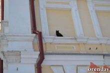 Переселение? Нет, не слышали. Жители &laquo;гагаринской летки&raquo; пока не пакуют чемоданы