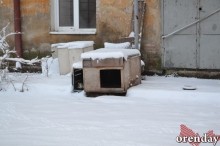 Переселение? Нет, не слышали. Жители «гагаринской летки» пока не пакуют чемоданы Переселение? Нет, не слышали. Жители «гагаринской летки» пока не пакуют чемоданы