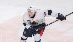 Убойное большинство