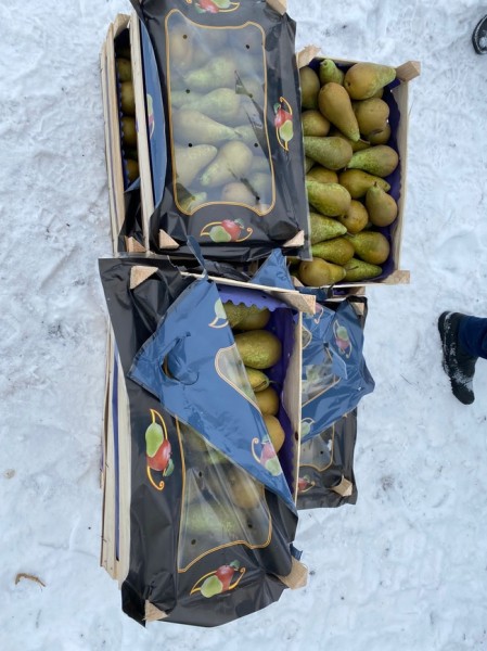 В Оренбургской области уничтожат 37 тонн польских груш
