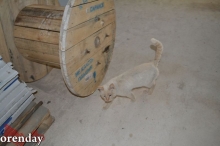 В Оренбурге строители двух детских садов не уложились в заявленные сроки