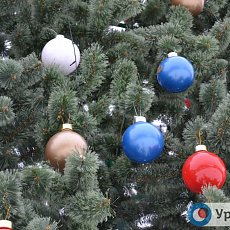 
Снегурочки-стриптизерши, &laquo;миграция&raquo; бомжей и новогодних елок: Каким был Орск в начале нового тысячелетия?        