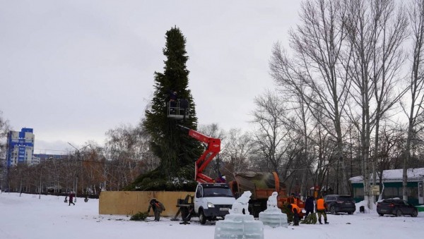 В Оренбурге новогодние елки пойдут на удобрение