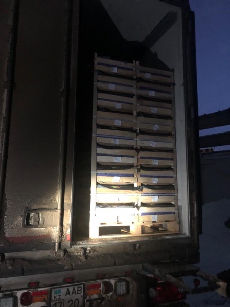 В Оренбургской области уничтожат 37 тонн польских груш