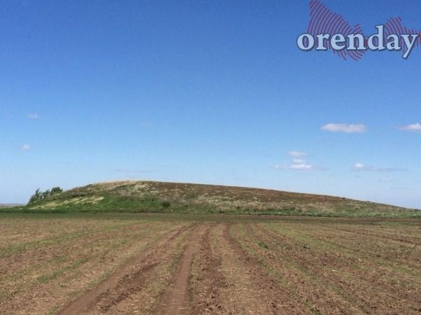 В Оренбуржье так и не нашли вандалов, испортивших памятник природы