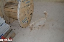 В Оренбурге строители двух детских садов не уложились в заявленные сроки