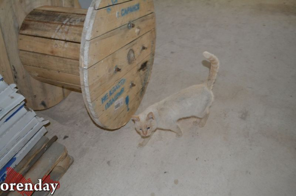 В Оренбурге строители двух детских садов не уложились в заявленные сроки