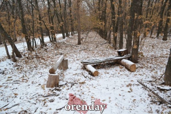 Что в Оренбурге в лесополосе на Березке сделают за 274 миллиона рублей Что в Оренбурге в лесополосе на Березке сделают за 274 миллиона рублей