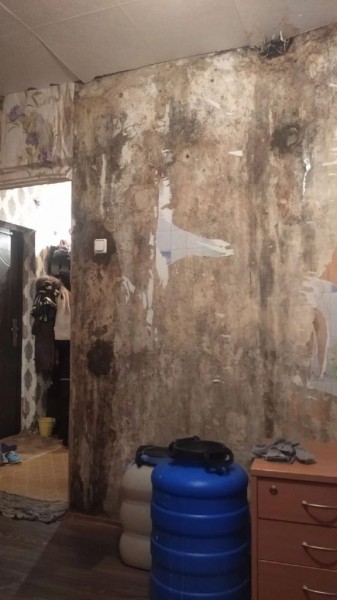 
Соцсети: в Тоцком 2 жители сразу нескольких многоквартирных домов сообщают о проблемах с текущими крышами, которые сохраняются годами        