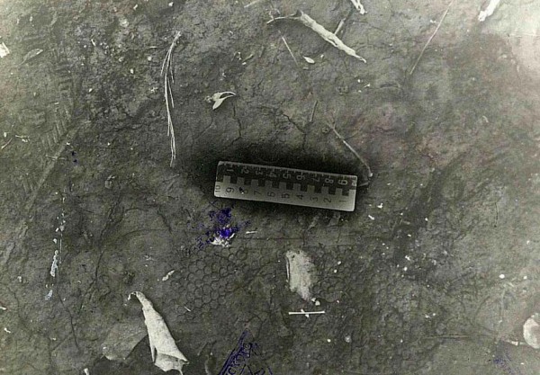 В Оренбурге полицейские более 30 лет не могли найти убийцу местного жителя, тело которого обнаружили в канализационном люке (18+)