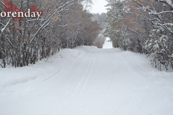 Качкарку не включили в голосование за благоустройство из-за отсутствия проекта