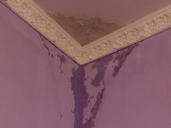 
Соцсети: в Тоцком 2 жители сразу нескольких многоквартирных домов сообщают о проблемах с текущими крышами, которые сохраняются годами        